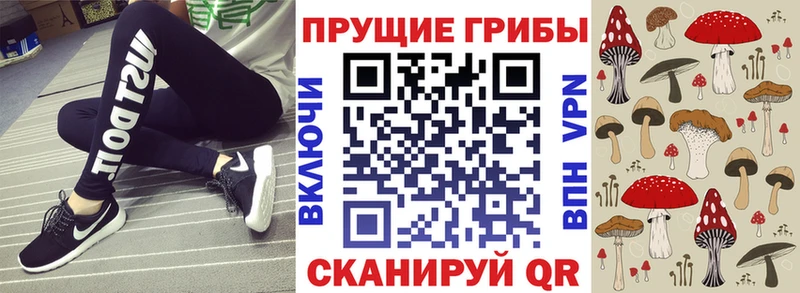 Псилоцибиновые грибы ЛСД  закладка  Богучар 