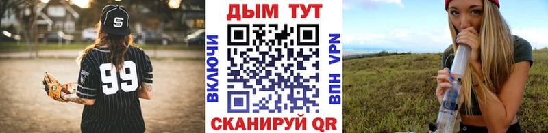 как найти наркотики  Богучар  Бошки марихуана план 